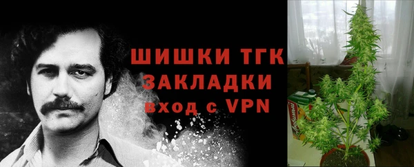 дурь Семёнов