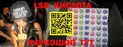 apvp Кингисепп