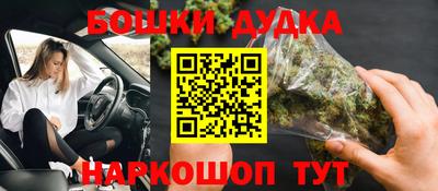 apvp Кингисепп