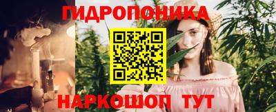 apvp Кингисепп
