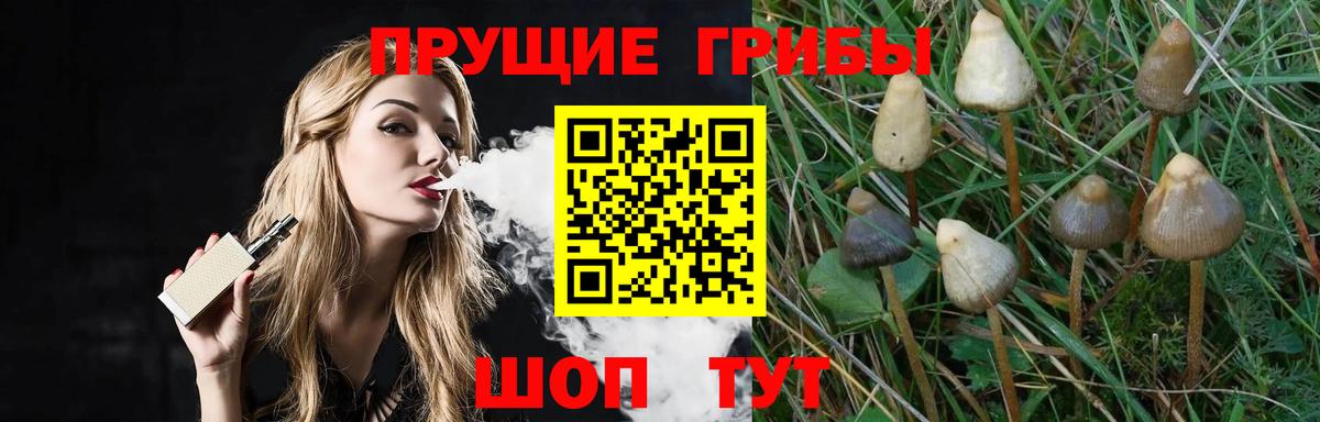 Галлюциногенные грибы GOLDEN TEACHER Саяногорск